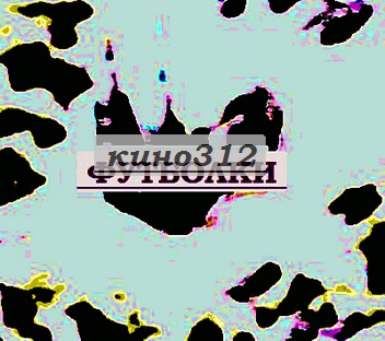 Футболки с надписями narod.ru.
майки 2010